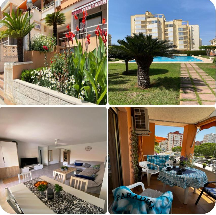 Apartamento Paradise Solo Familias Gandía Eksteriør billede
