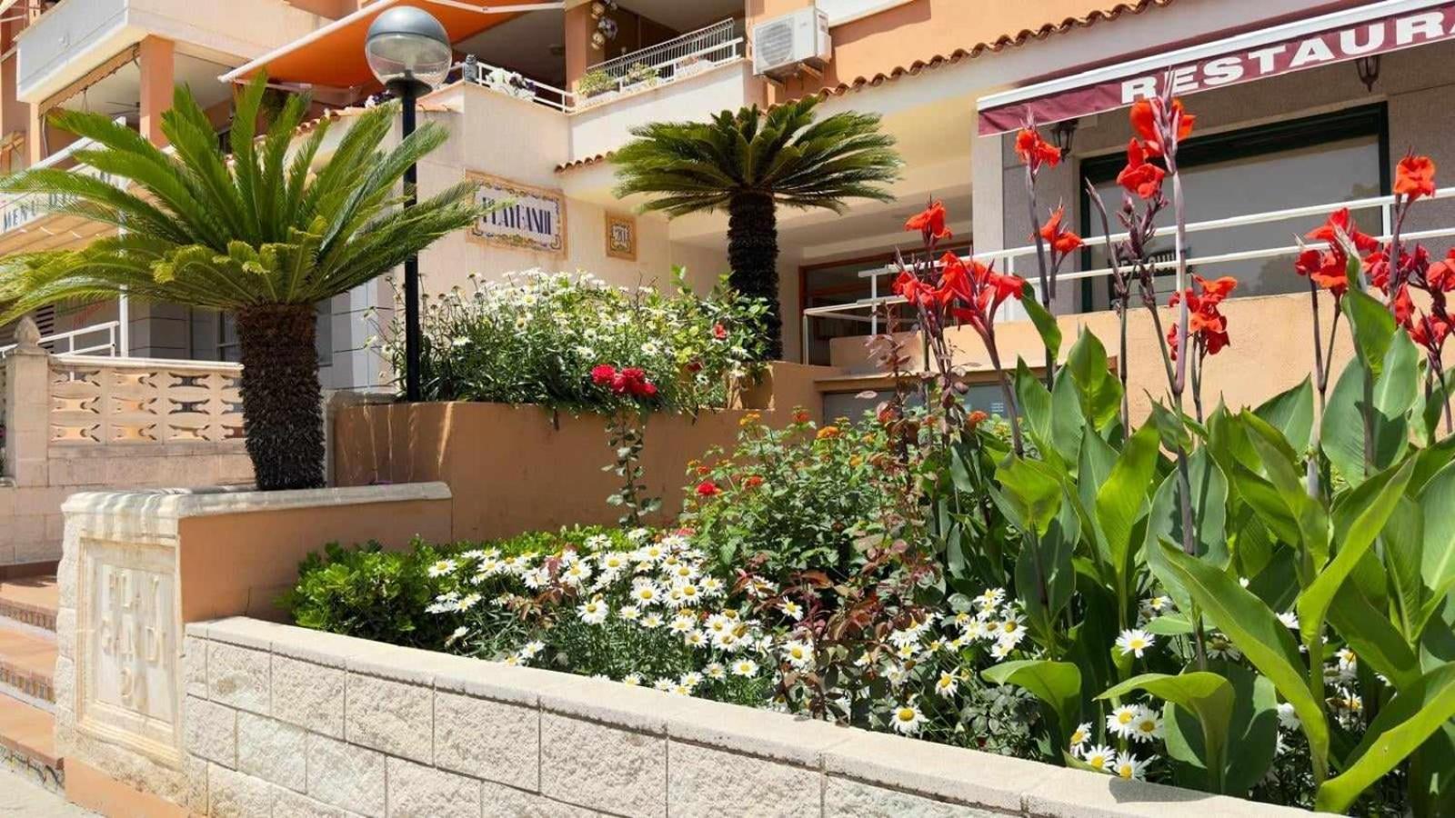 Apartamento Paradise Solo Familias Gandía Eksteriør billede
