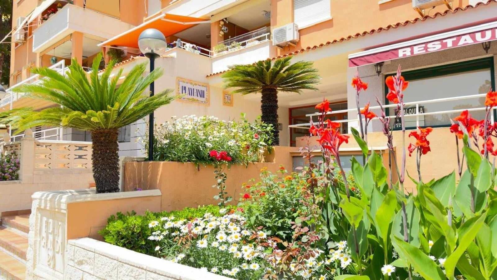 Apartamento Paradise Solo Familias Gandía Eksteriør billede