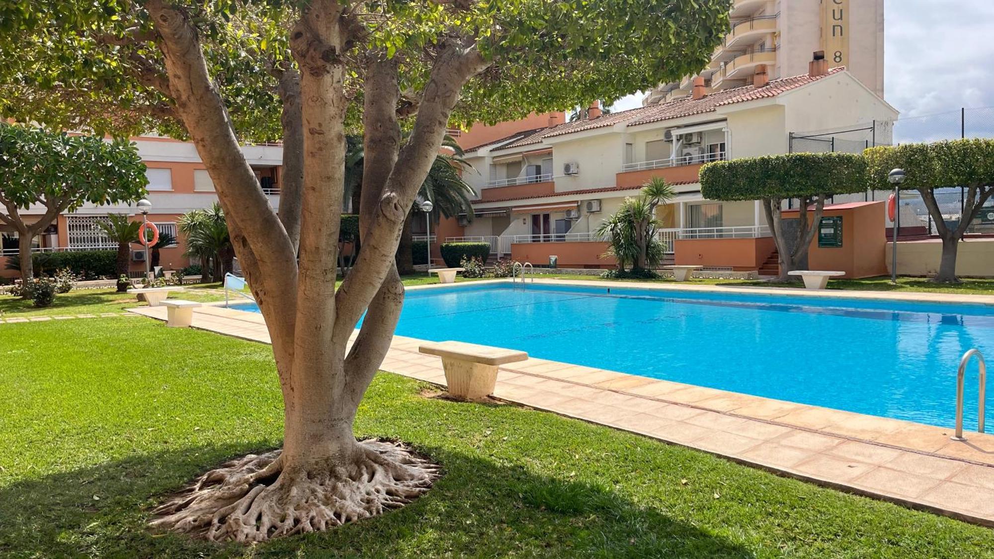 Apartamento Paradise Solo Familias Gandía Eksteriør billede